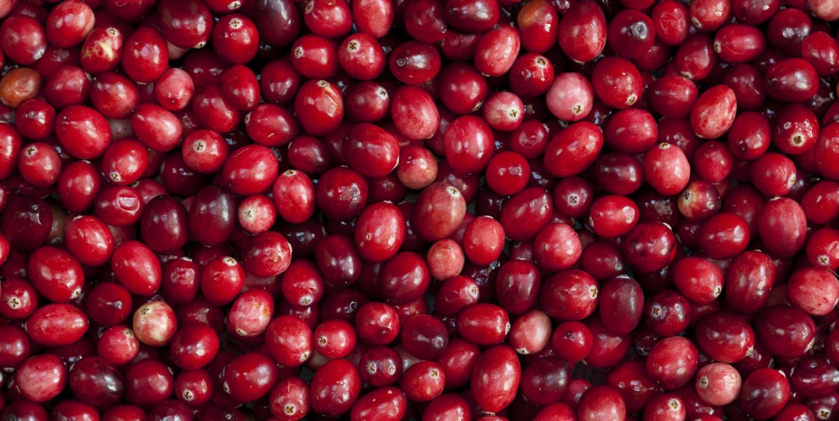 cranberry-fruit-background-royalty-free-image-157529804-1531239374